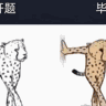 谢公宿处