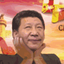 赛博习近平