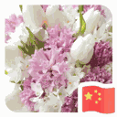 尔东红13873350336