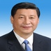 疯狂习近平