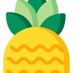LeeNet