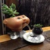 賞花杏仁露