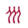 中国人民大学