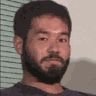 迫真共和国