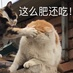 RR793242567CN