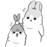 匿名抓兔