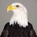 klwa23