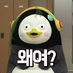貓能