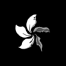 黑洋紫荆logo