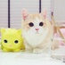 yexinyu